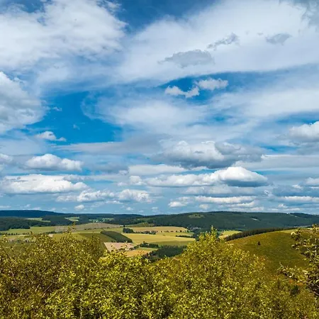 Vakantie Service Winterberg Studio Sels Exterior foto